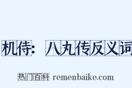 机侍：八丸传反义词是什么意思的图片